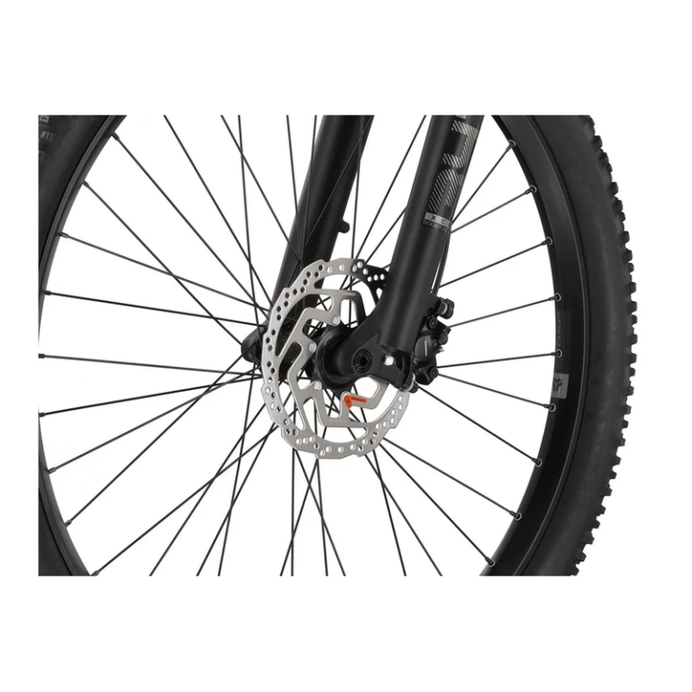 Carver Strict E.510 - 500 Wh - 27,5 Zoll - Diamant