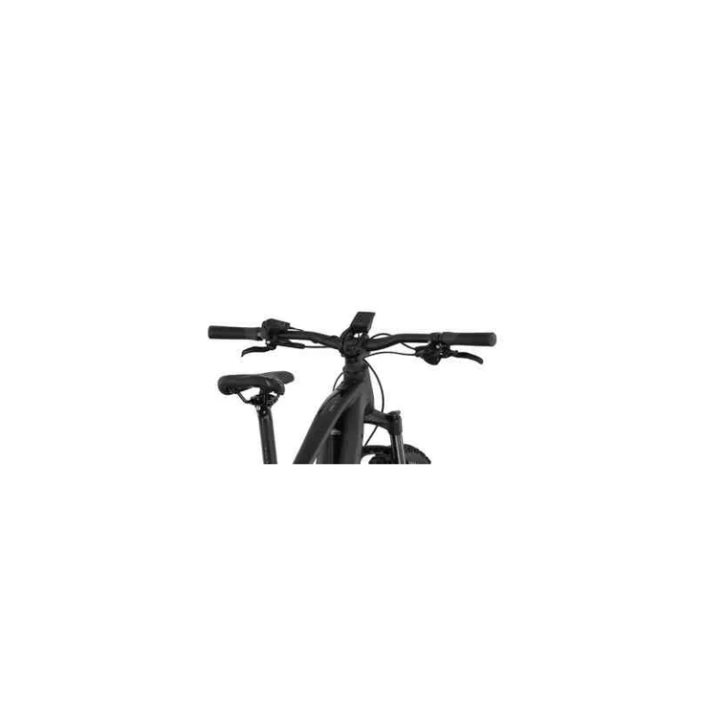 Carver Strict E.560 - 750 Wh - 29 Zoll - Diamant