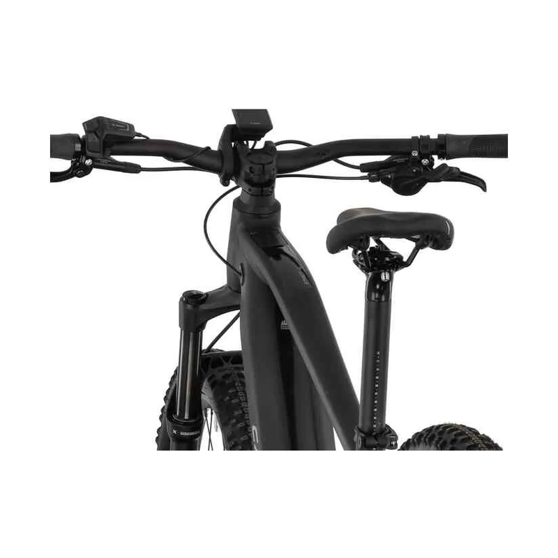 Carver Strict E.560 - 750 Wh - 29 Zoll - Diamant – Bild 20