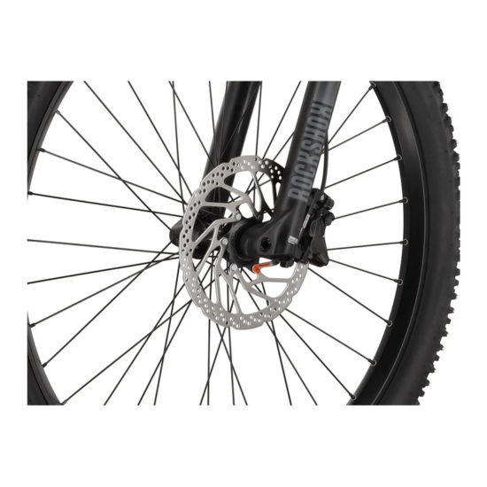 Carver Strict E.560 - 750 Wh - 29 Zoll - Diamant – Bild 10