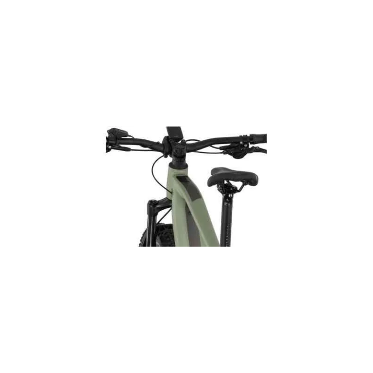 Carver Strict E.560 - 750 Wh - 29 Zoll - Diamant