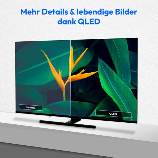 MEDION LIFE X8432504 MD843600 – 4K QLED Smart TV mit Dolby Vision, – Bild 7