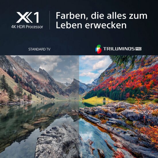 Sony KD-X85L 85 Zoll 4K Ultra HD Smart Google TV – mit Triluminos Pro, X1-Prozessor – Bild 6