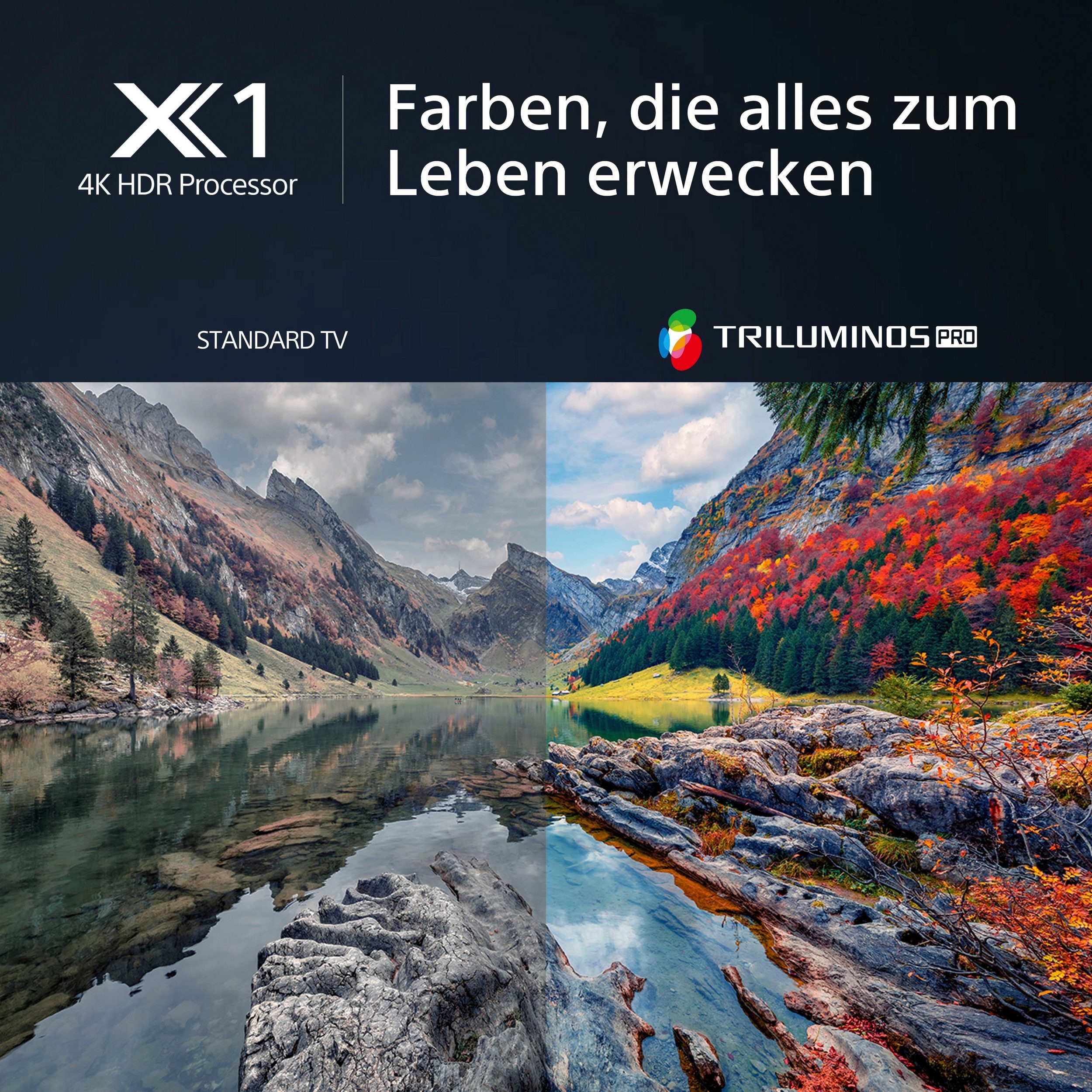 Sony KD-X85L 85 Zoll 4K Ultra HD Smart Google TV – mit Triluminos Pro, X1-Prozessor – Bild 6