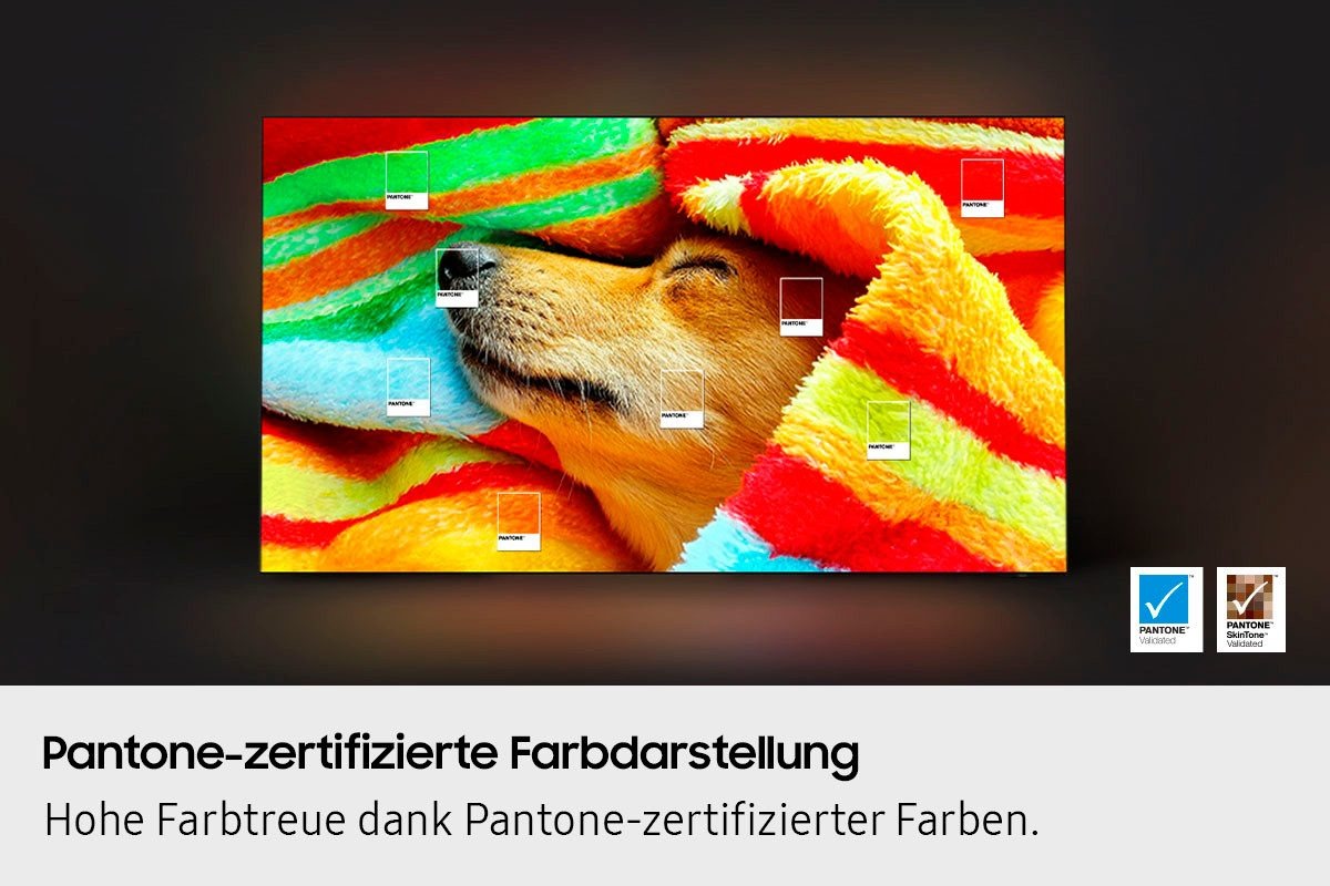 Fernseher Samsung OLED S85F – 55 Zoll OLED AI TV mit PANTONE – Bild 7
