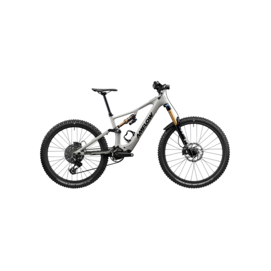 Amflow PX Carbon Pro
