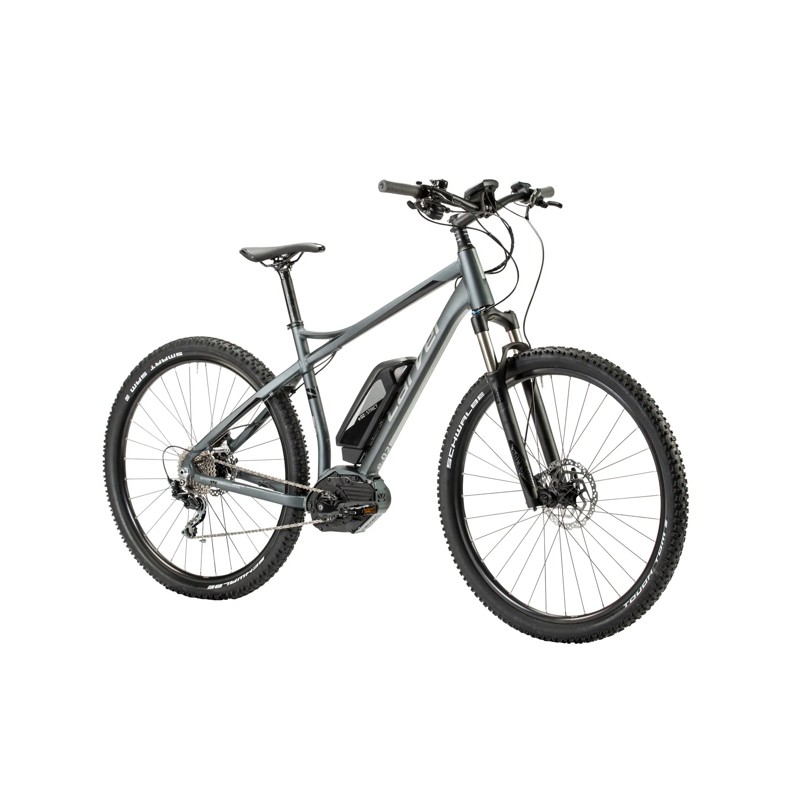 Carver Strict E02 - 500 Wh - 29 Zoll - Diamant – Bild 2