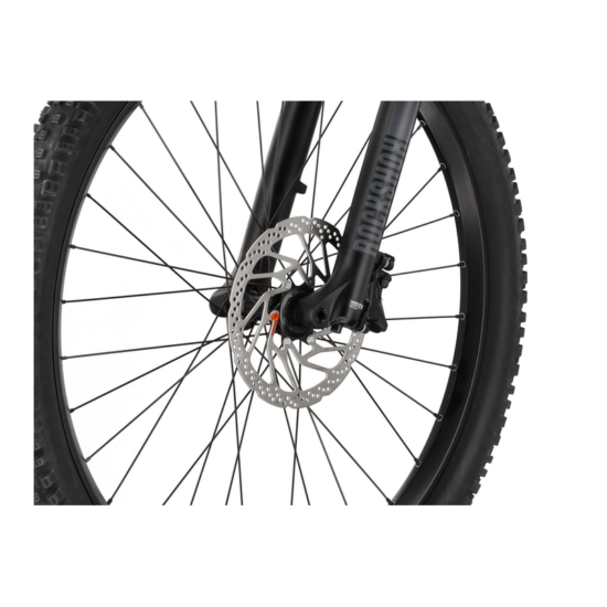 Carver Drift E.520 - 625 Wh - 29 Zoll - Fully – Bild 14