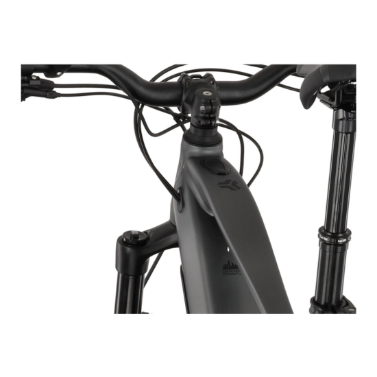 Carver Drift E.520 - 625 Wh - 29 Zoll - Fully – Bild 7