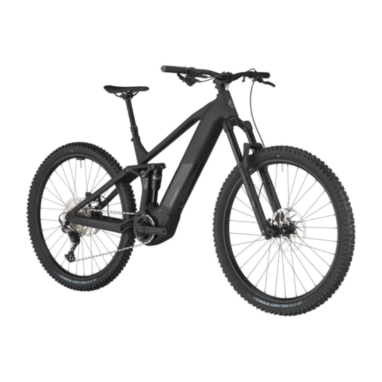 Bergamont E-Revox FS 20