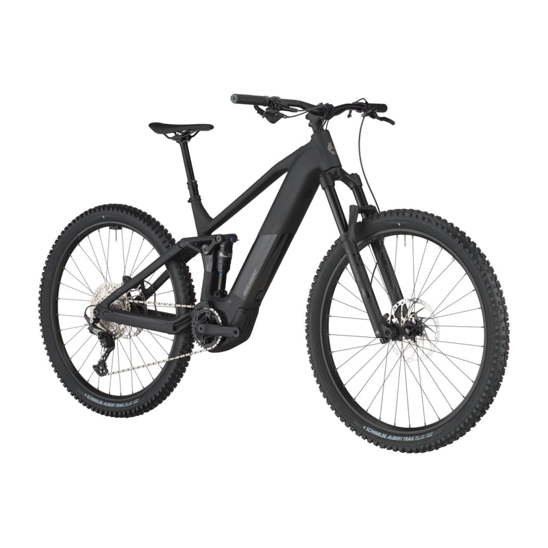 Bergamont E-Revox FS 20