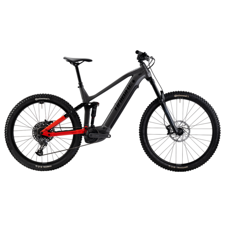 Haibike Allmtn 4