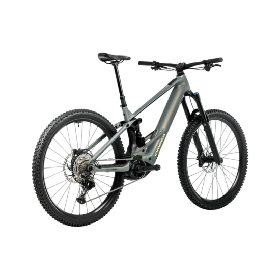 Orbea Wild H10