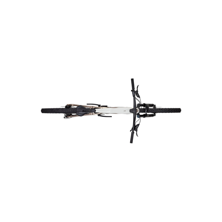 Focus Jam2 6.7 - 600 Wh - 29 Zoll - Fully
