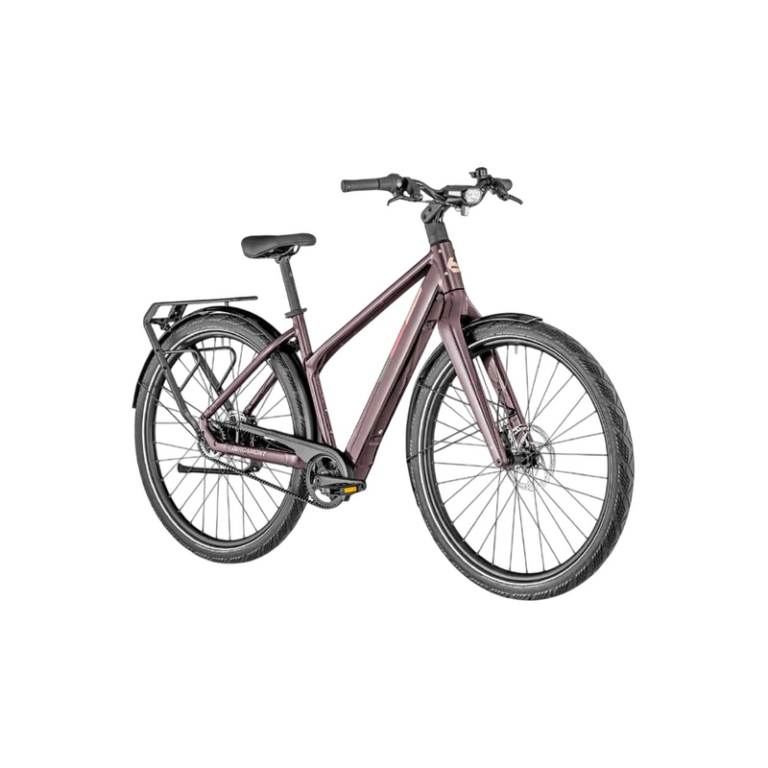 Bergamont E-Vitess Expert Lady - 360 Wh - 28 Zoll - Trapez