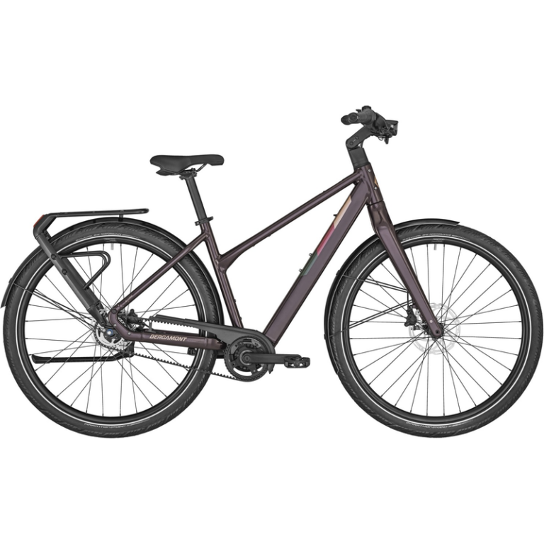 Bergamont E-Vitess Expert Lady