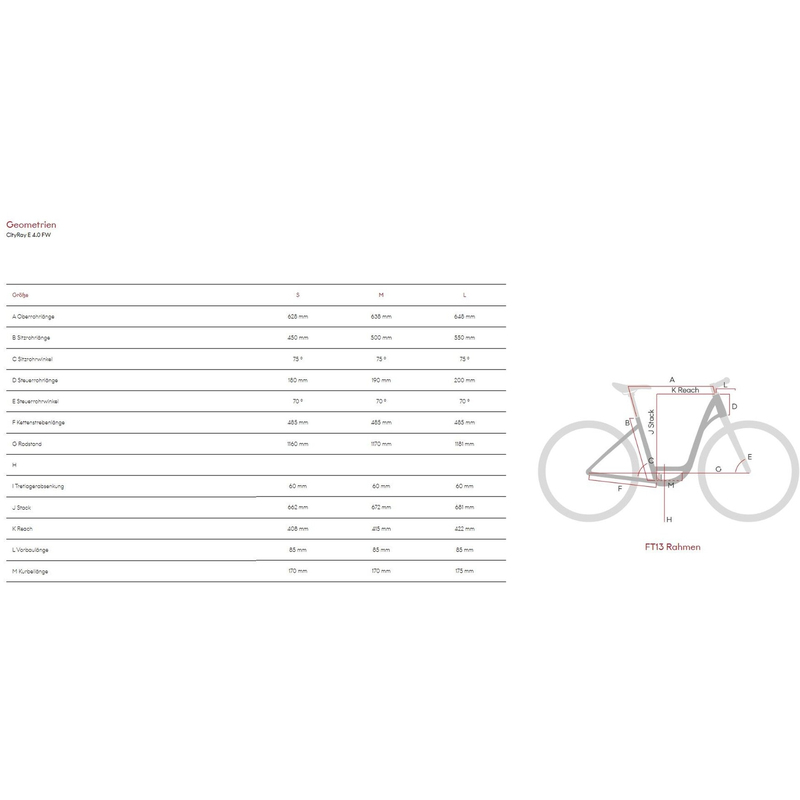 Raymon CityRay E 4.0 FW