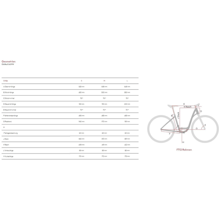 Raymon CityRay E 4.0 FW - 500 Wh - 28 Zoll - Tiefeinsteiger