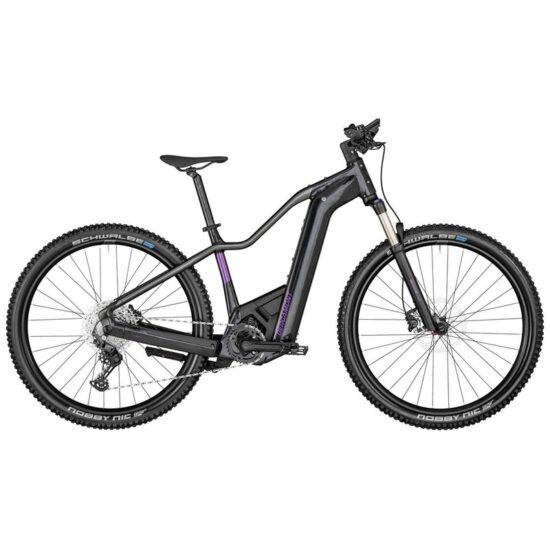 Bergamont E-Revox Premium Expert FMN