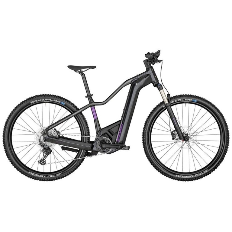 Bergamont E-Revox Premium Expert FMN