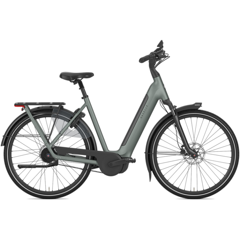 Gazelle Arroyo C5+ Elite First Edition