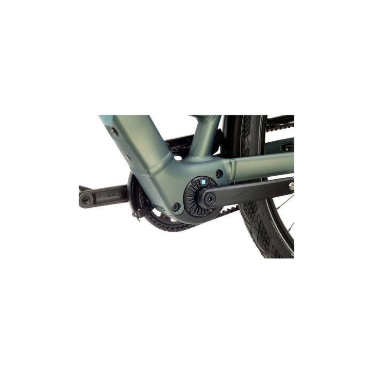 Bergamont E-Vitess Expert Amsterdam - 360 Wh - 28 Zoll - Tiefeinsteiger