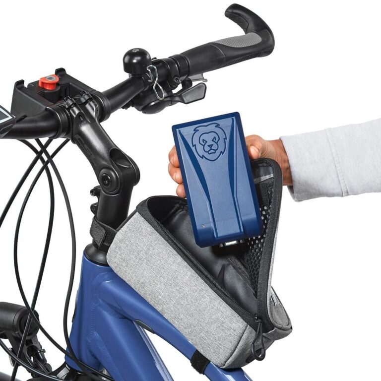 LiON Smart Charger 36V 4A Ladegerät XLR 4-Pin BMZ / Derby Cycle – Kompakt, intelligent