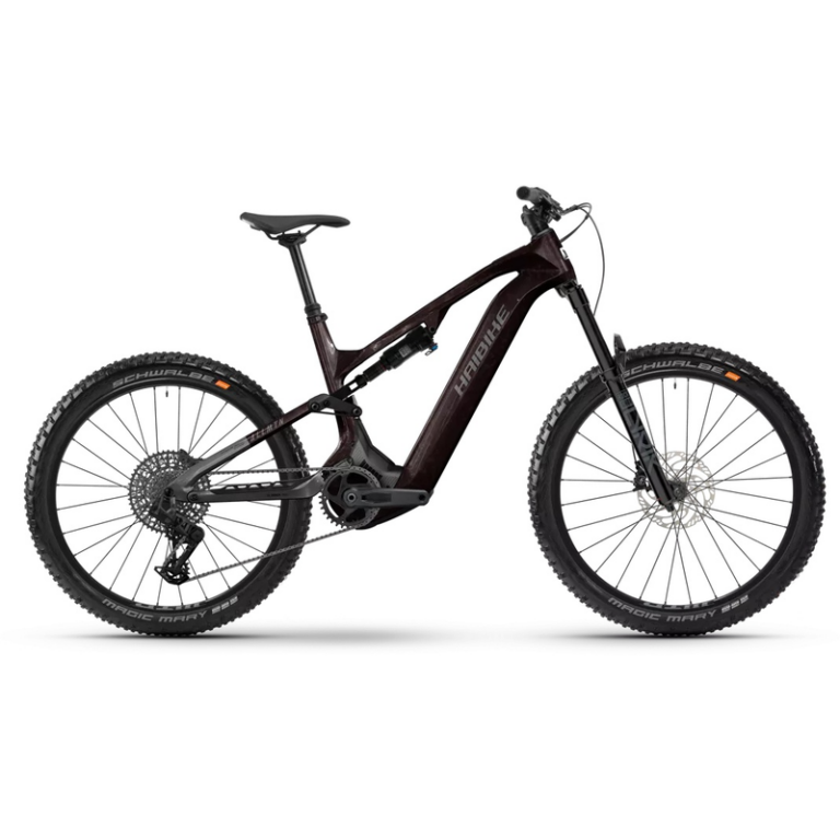 Haibike AllMtn CF 9
