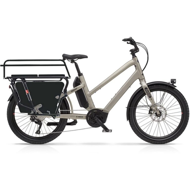 Benno Bikes Boost 10D + Family Package - 500 Wh - 24 Zoll - Longtail