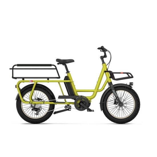 Benno Bikes RemiDemi XL 9D CX EVO 2 + Family Package - 545 Wh - 20 Zoll - Longtail - 2026 – Bild 3