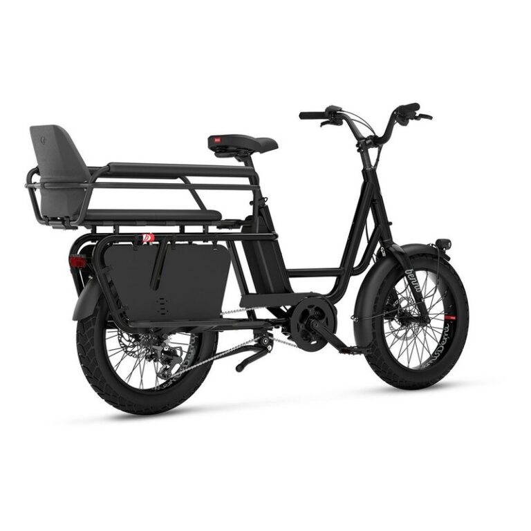 Benno Bikes RemiDemi XL 9D CX EVO 2 + Family Package - 545 Wh - 20 Zoll - Longtail - 2026