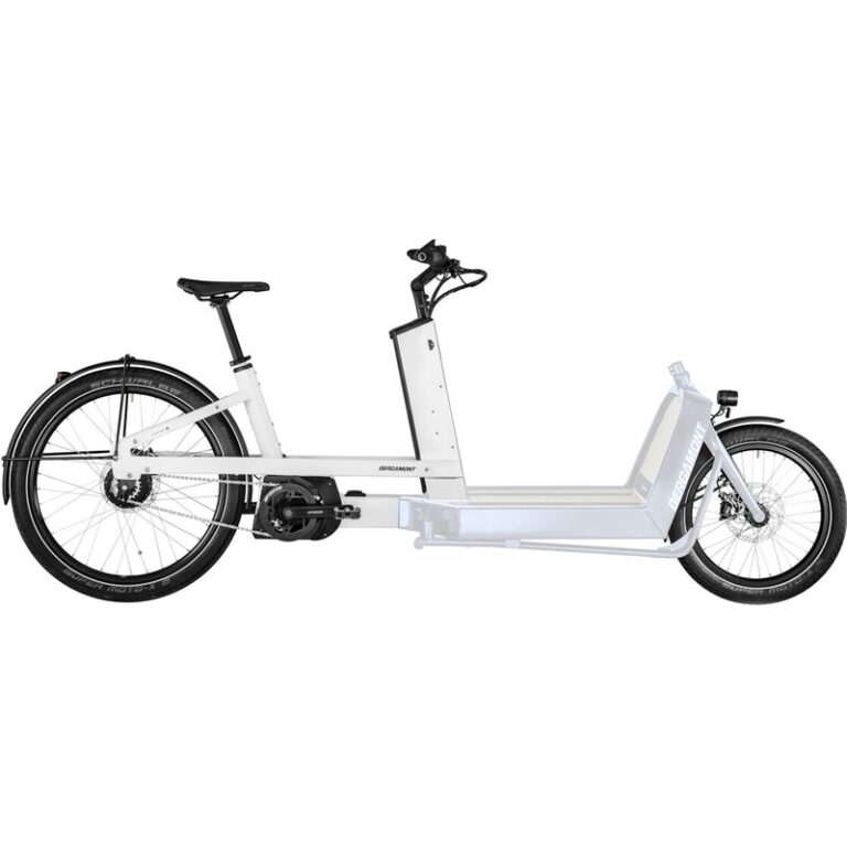 Bergamont E-Cargoville LJ Expert - 625 Wh - 26 Zoll - Long John