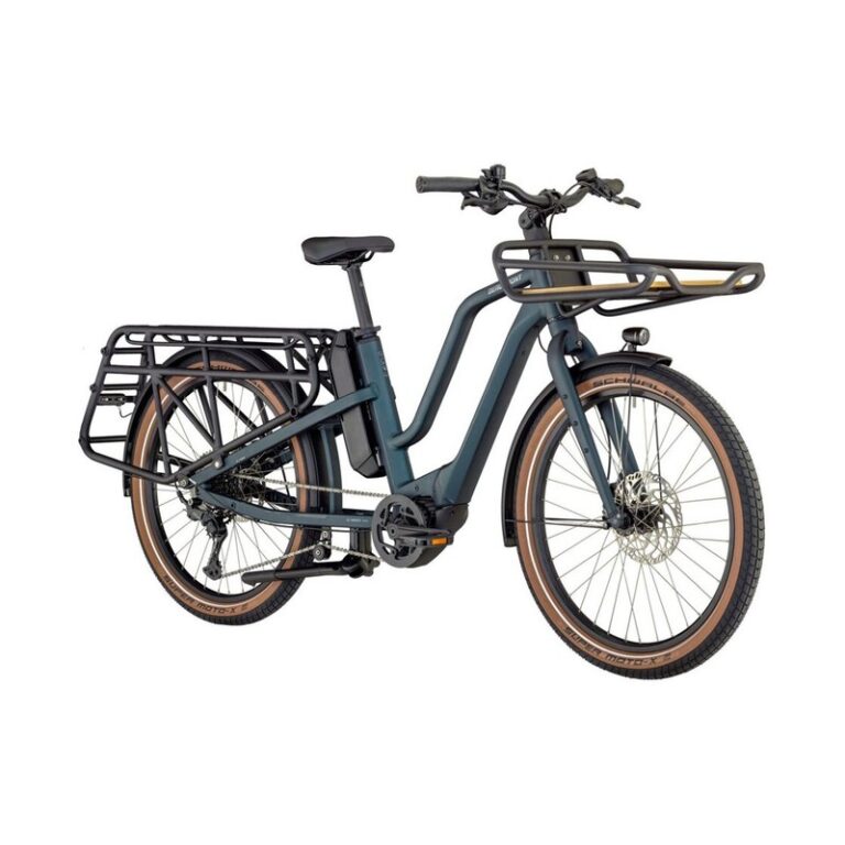 Bergamont E-Cargoville LT Edition - 545 Wh - 26 Zoll - Longtail
