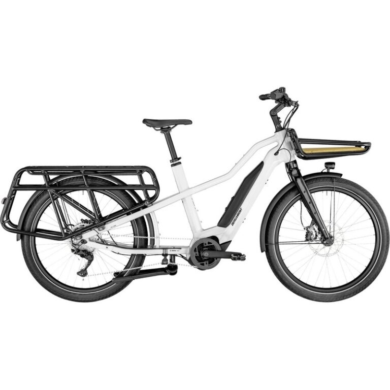 Bergamont E-Cargoville LT Expert - 500 Wh - 26 Zoll - Longtail