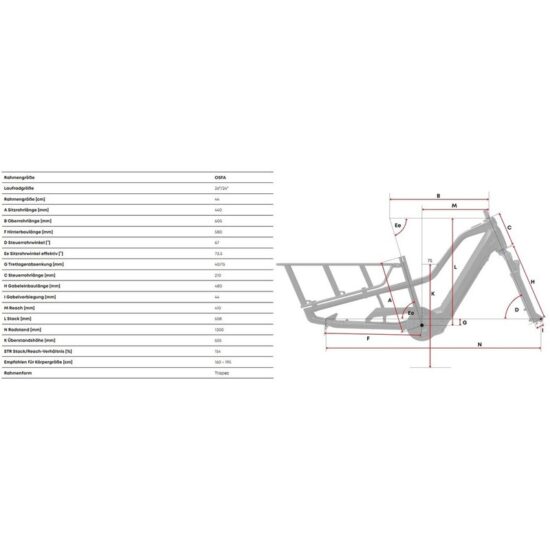Centurion Vario R960i - 625 Wh - 26 Zoll - Longtail – Bild 2