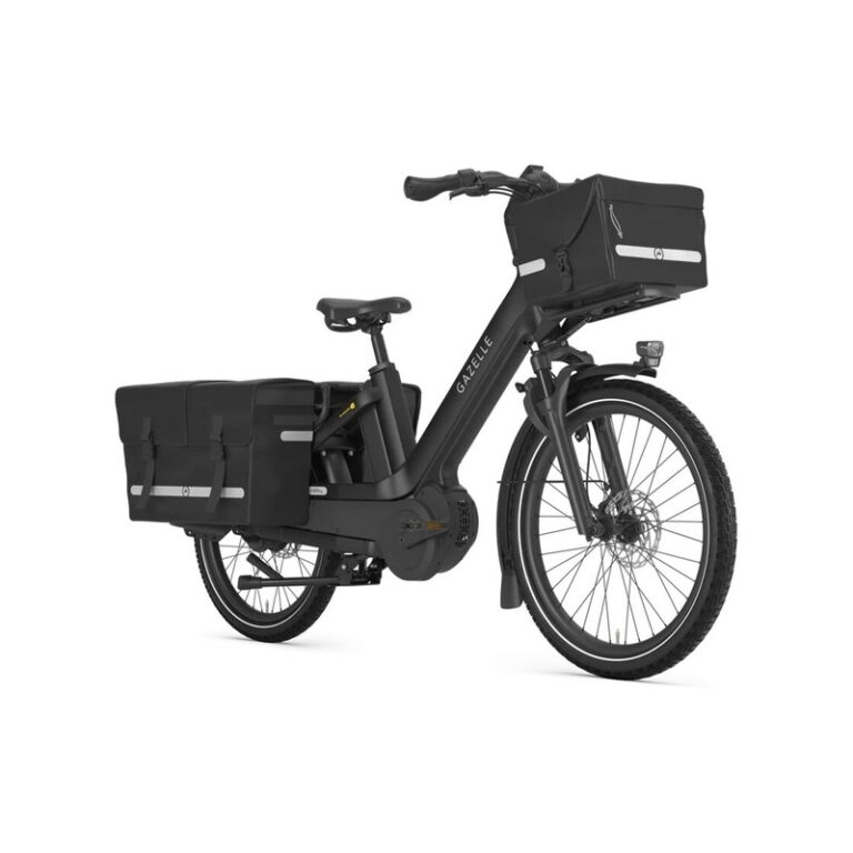 Gazelle Cabby C380 L 24" SE - 545 Wh - 24 Zoll - Longtail - 2026