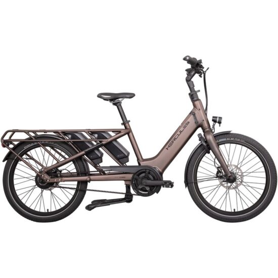 Hercules Rob Family F360 - 1000 Wh - 24 Zoll - Longtail – Bild 3