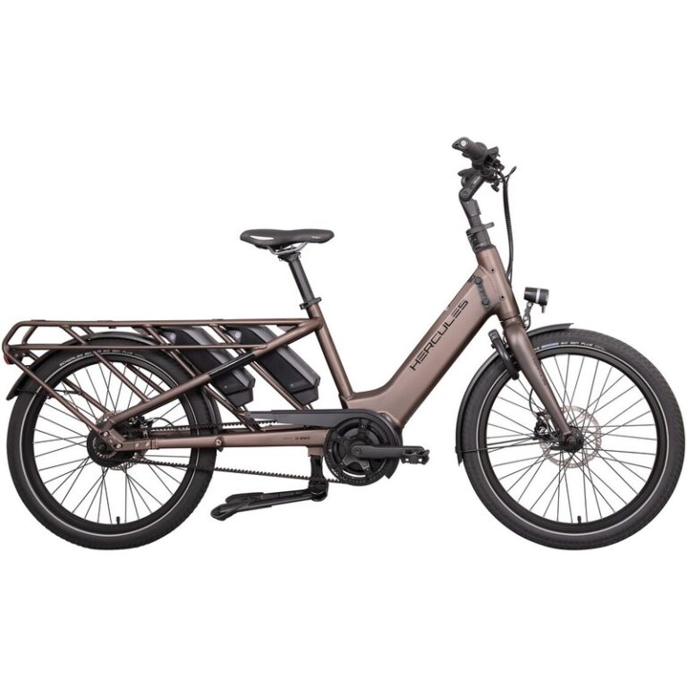 Hercules Rob Family F360 - 1000 Wh - 24 Zoll - Longtail