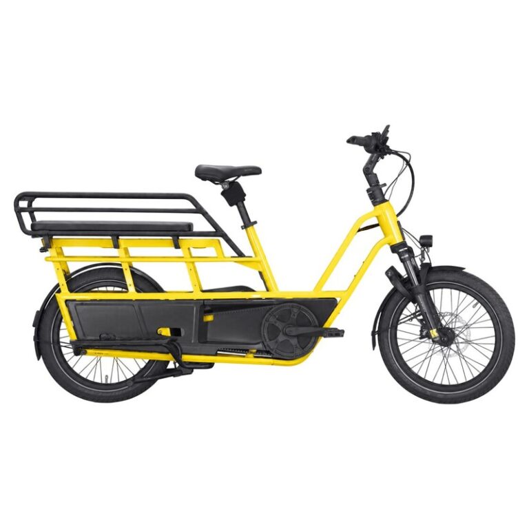 Kettler Flair L-N Belt + Passenger Kit - 545 Wh - 20 Zoll - Longtail - 2026