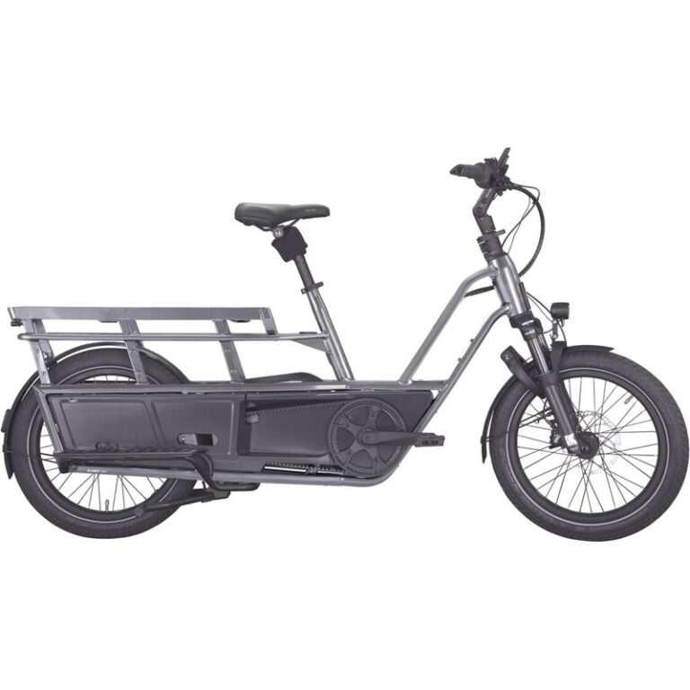 Kettler Flair L-N Belt + Passenger Kit - 545 Wh - 20 Zoll - Longtail - 2026