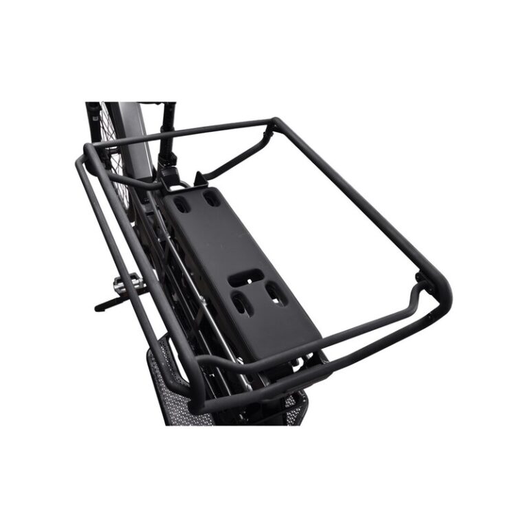 Kettler Flair L-N Belt + Passenger Kit - 545 Wh - 20 Zoll - Longtail - 2026