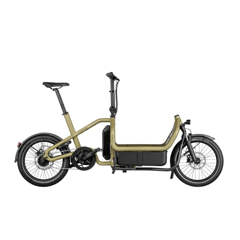 Riese und Müller Carrie city - 725 Wh - 20 Zoll - Long John